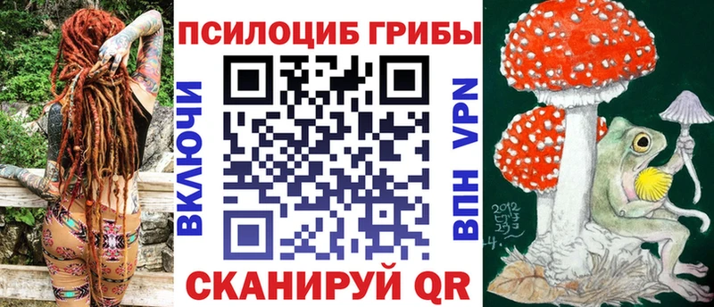 Псилоцибиновые грибы MAGIC MUSHROOMS  сколько стоит  Палласовка 